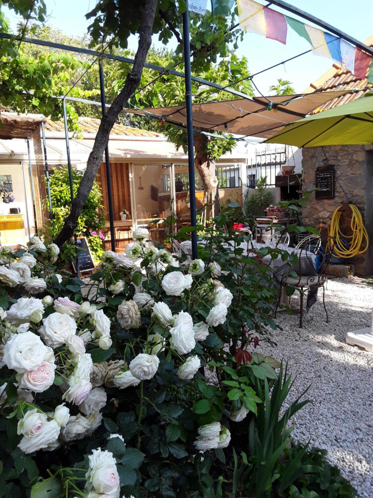 Les Terres Basses Hotel Fabrezan Kültér fotó