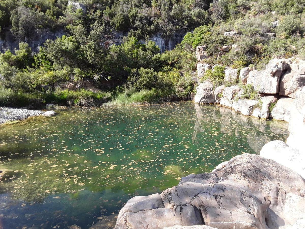Les Terres Basses Hotel Fabrezan Kültér fotó